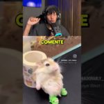 QUAL PET VOCE ESCOLHERIA?