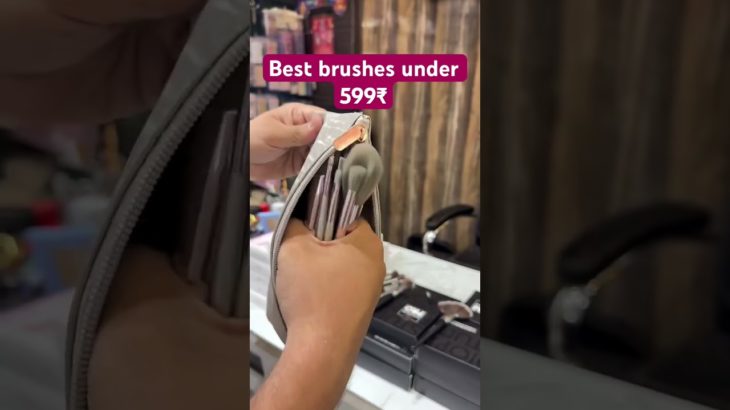 Viral makeup brushes under budget #matteinklipstick #makeupproducts #beauty #makeupking