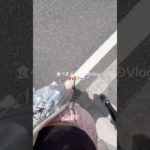 お腹破裂した日のVlog💖✈️ #コスメ #メイク #makeup