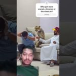 When Your ‘Pet’ Cheetah Gets Spooked! Is This Really a House Pet? #wildlife#animals#shortsvideo