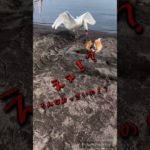 だいごろ　大海を知る　#チワワ #ペット動画 #山中湖 #chihuahua #可愛い #癒し #スワン #いぬとの暮らし