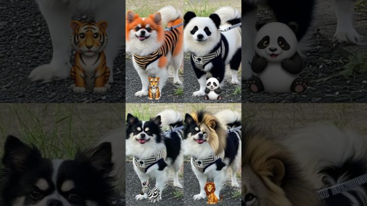 わんちゃん大変身　#犬#わんちゃん#dog#ペット#動物#bgm#ai