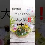 虹の橋のペットちゃんママに選ばれる写真立て‼️minne とCreema で販売中💕　#虹の橋　#お空組　#ペット　#ペットロス　#フラワーギフト