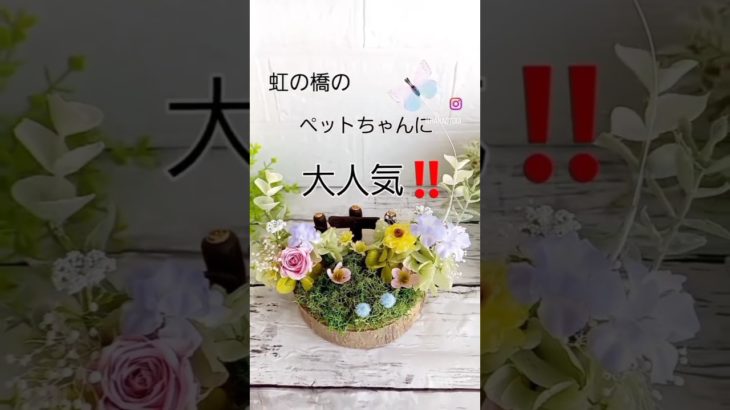 虹の橋のペットちゃんママに選ばれる写真立て‼️minne とCreema で販売中💕　#虹の橋　#お空組　#ペット　#ペットロス　#フラワーギフト