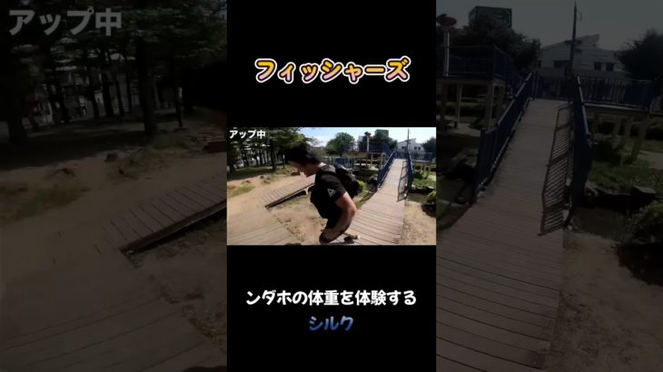 ンダホの体重を体験するシルク #フィッシャーズ #shorts