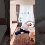 【腰肉スッキリ】うきわ肉とる簡単ストレッチ✨#ダイエット#shorts #お腹痩せ #お腹引き締め #アラフォーダイエット #40代ダイエット #簡単トレーニング #宅トレ #ストレッチヨガ