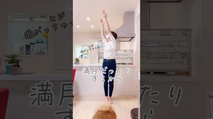 【太りやすい時期】ダイエットしたいなら〇〇の時はやめて‼️#ダイエット #shorts #宅トレ #簡単トレーニング #40代ダイエット #月の満ち欠け #アラフォーダイエット #ヨガ