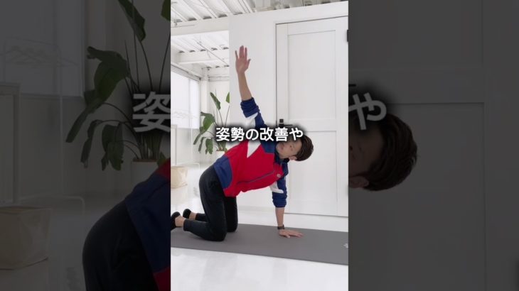 胸郭を広げるストレッチ#ストレッチ #エクササイズ #トレーニング #ダイエット #stretching #exercise #training #weightloss