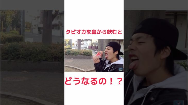 タピオカを鼻から飲んだ結果･･･！？ #フィッシャーズ #フィッシャーズ切り抜き
