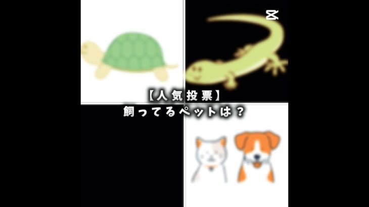 【人気投票】飼ってるペットを教えて！【#バズれ #チャンネル登録お願いします 】