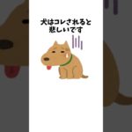 犬はコレされると悲しいです　#犬 #ペット #雑学