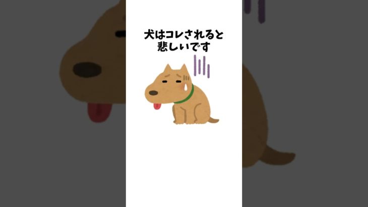 犬はコレされると悲しいです　#犬 #ペット #雑学