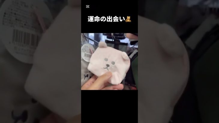 リスナーさん達とお財布をお迎えに行く #大阪 #財布 #ペット #可愛い