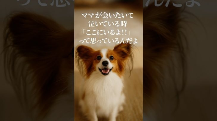 【亡くなったペットの一部は、あなたの中にいる】#ペットロス #ペット