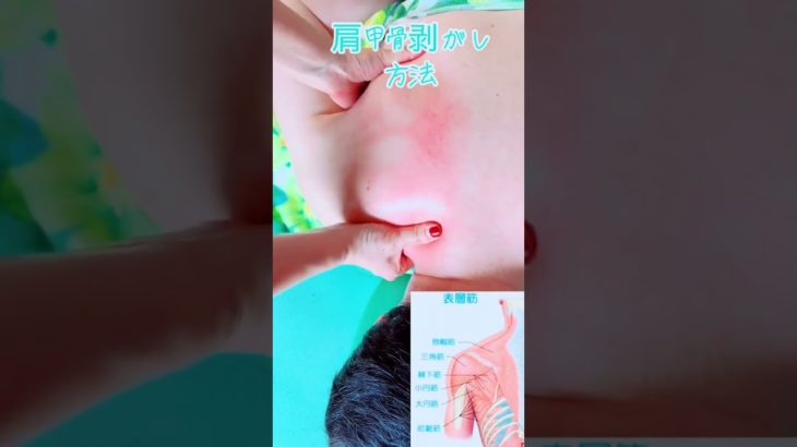 肩甲骨剥がし#スマホ首#ダイエット#高興リラックス空間 #疲労回復 #マッサージ #肩こり #首こり #ストレス解消＃リラックス#新宿マッサージ＃池袋マッサージ#渋谷マッサージ#小顔＃マッサージ 教室