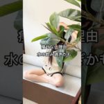 #ダイエット #痩せる #痩せる習慣 #痩せる方法 #アラサー女子 #ダイエット女子 #モチベーション #垢抜け