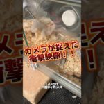 ペットのハムスターが凄い #ハムスター