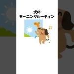 犬のモーニングルーティン　#犬 #ペット #雑学