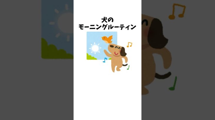 犬のモーニングルーティン　#犬 #ペット #雑学