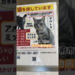 #動物愛護 #動物の涙 #迷子犬 #ペット #犬