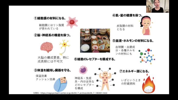 無料勉強会切り抜き〜脂肪について〜
