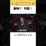 動物？　可能！ #韓国 #ペット