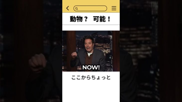 動物？　可能！ #韓国 #ペット