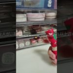 ✌ #生活音 #コスメ #人気になりたい #メイク #雰囲気