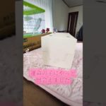 【お迎えペット】ずっと探してたオカメインコのパールパイドのタイプの子に出会えました😭😭😭これはビビッと来てこの子は家にお迎えしなければ…と使命感に襲われた😭😭😭#オカメインコ　#オカメインコお迎え　