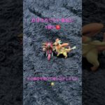 昨日のおめでたい報告の感想 #たいちゃん #昨日 #祝福 #しょこたん #フィッシャーズ #シルク #ゆんちゃん #えにゃり #おめでとう #感想