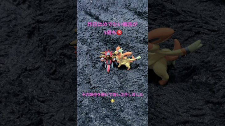 昨日のおめでたい報告の感想 #たいちゃん #昨日 #祝福 #しょこたん #フィッシャーズ #シルク #ゆんちゃん #えにゃり #おめでとう #感想