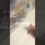 ネタ！ #コスメ #ばずれ #生活音 #メイク #ネタ