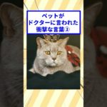 ペットがドクターに言われた衝撃的な言葉ww #2ch動物スレ #2ch #猫