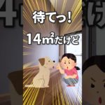【ロフト付き】14㎡の狭小物件でペットと一緒に暮らせるか？