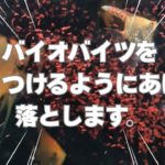 【夏直前！！】ペットバルーンにてアーリーサマーセール開催！！圧巻の1800水槽にてエンゼル・プレコ・コリドラスの餌やりシーンだけは見て帰ってください！！感動もの