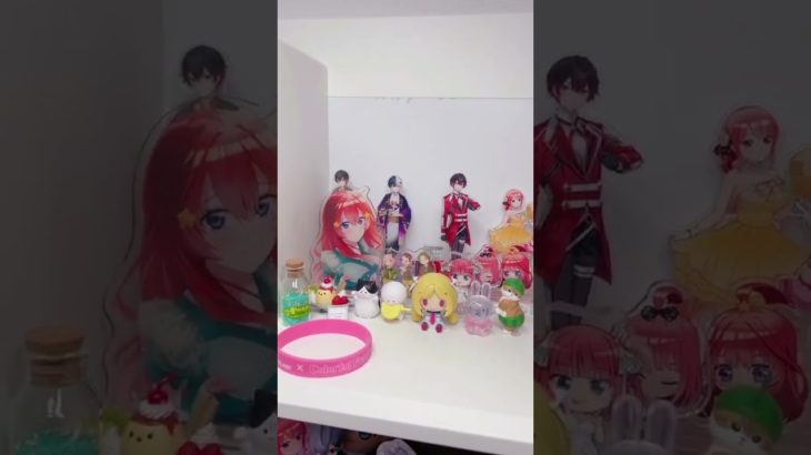 ほとんど1日Vlog〜〜！#ペット