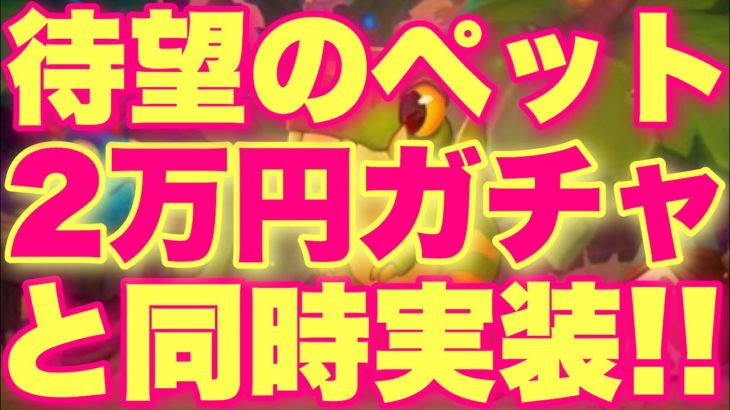全ハースプレイヤー待望のペットがまさかの2万円ガチャと同時実装きたああ！！！【ハースストーン】
