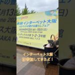 インターペット大阪2025参加してきたよ　#インターペット #インターペット大阪 #ミニチュアシュナウザー #dog #わんことお出かけ #犬のいる生活 #ペット同伴 #犬のいる暮らし