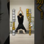 スクワットより効く全身爆痩せ30秒トレ🔥#ダイエット #トレーニング #ストレッチ #脚やせ