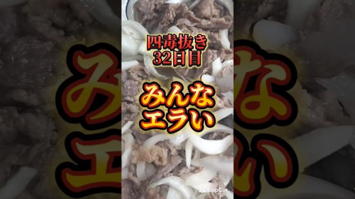 みんなエラい！四毒抜き32日目#四毒抜き #ダイエット #減量