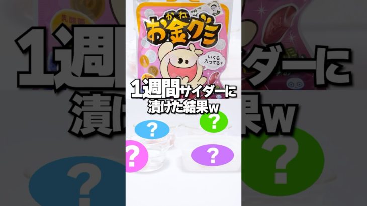 まさかの結果🔥7日間お金グミをサイダーに漬けるとどうなるか検証！グミアレンジが美味しすぎた！ #Shorts #お菓子 #グミ #実験 #検証 #フィッシャーズ