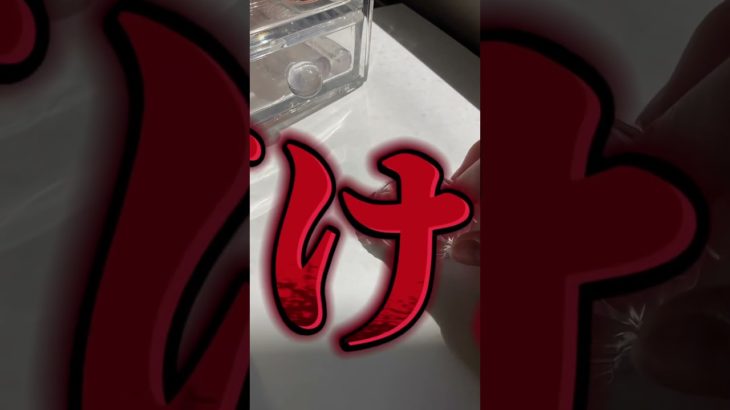 8️⃣7️⃣笑 #コスメ #素材収納 #生活音 #メイク #ぽんかん #雰囲気 #ルーティン #バズれ