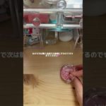 9️⃣3️⃣サンキューマートらぶ💖 #コスメ #素材収納 #ぽんかん #雰囲気 #生活音 #メイク #ルーティン #バズれ