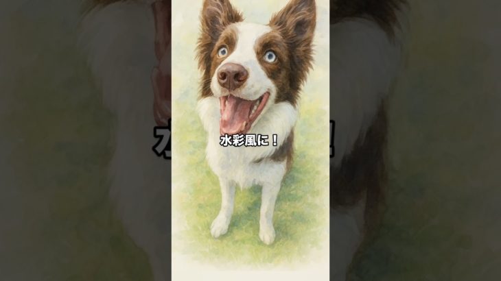大好きなペット（うちの子）の水彩風AIイラストをお作りします。#ボーターコリー  #ボーダーコリーのいる暮らし  #ボーダーコリーのいる生活