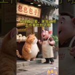 Fatty orange comes to the bun shop, cute pet, cute pet debut plan, cat, magical animals on TikTok,