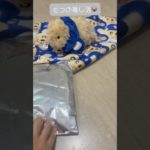 推し活しもふ🐨#ドアラ#開封動画 #ペット動画#かわいい動物#赤ちゃん#モフリン#Moflin#ロボット#モフモフ#CASIO#カシオ#pets #ペット禁止でも飼える#robot #癒し