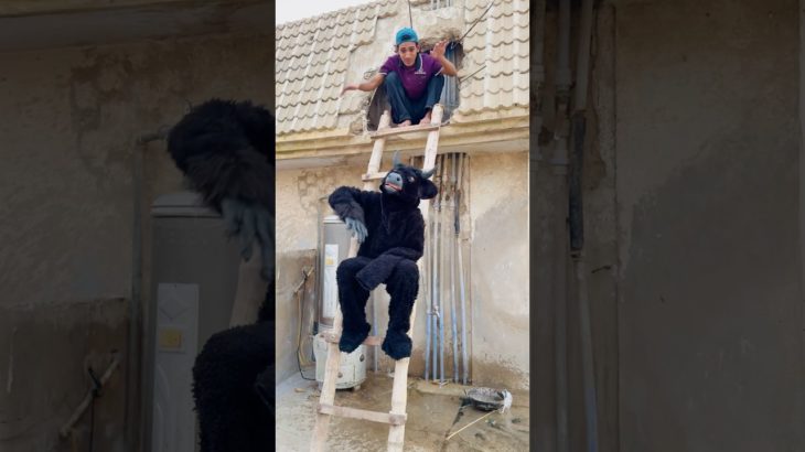 Moh 🐮 Scaring Of Pet 😰|