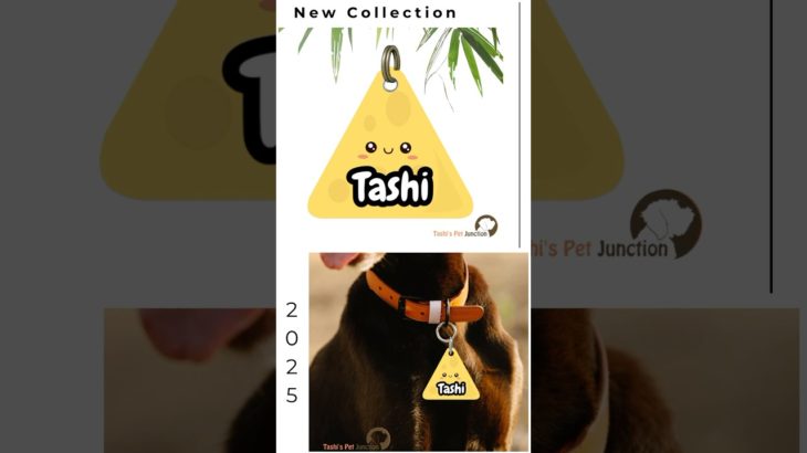 Who says pet tags can’t be deliciously cute? 😋💚 Say hello to our newest Kawaii Food Dog Tags