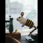 久々のちゃみちゃん🐇#ai #fyp #うさぎ  #ペット #流行り  #てるりんちょtv