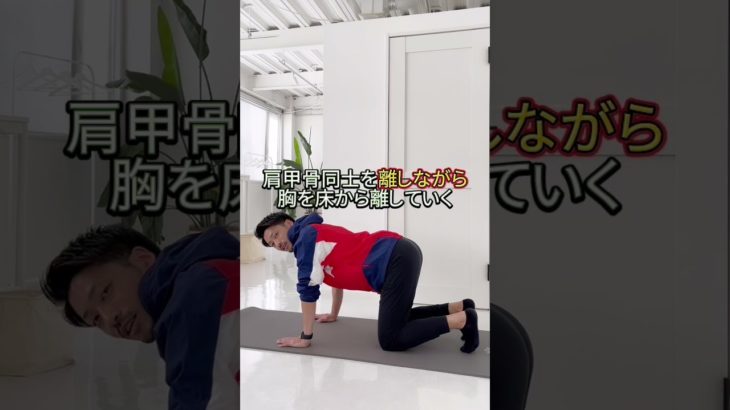 ちょっと難しいです#エクササイズ #トレーニング #ストレッチ #ダイエット #exercise #training #stretching #weightloss